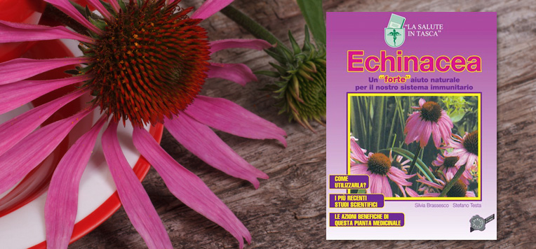 pubblicità echinacea