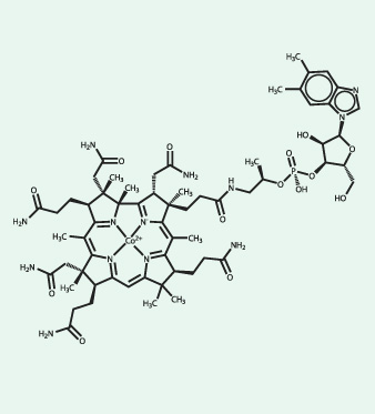 vitamina b12