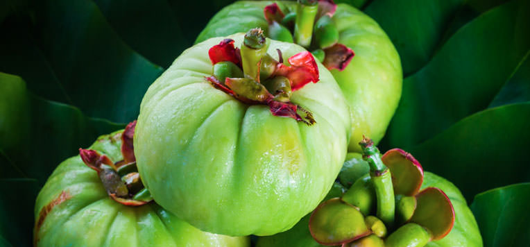 Garcinia Cambogia: tutto quello che devi sapere