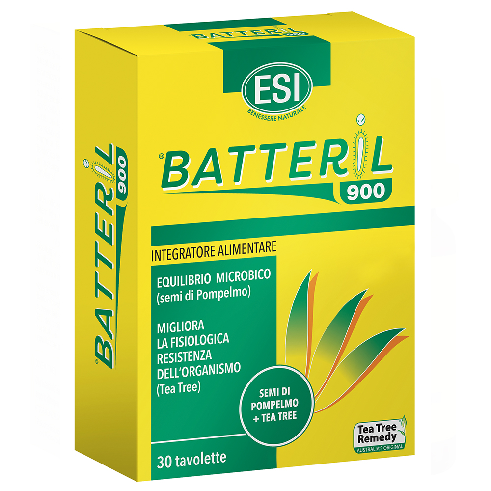 Batteril 900