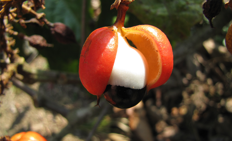 Bruciare i grassi in modo naturale: si può!