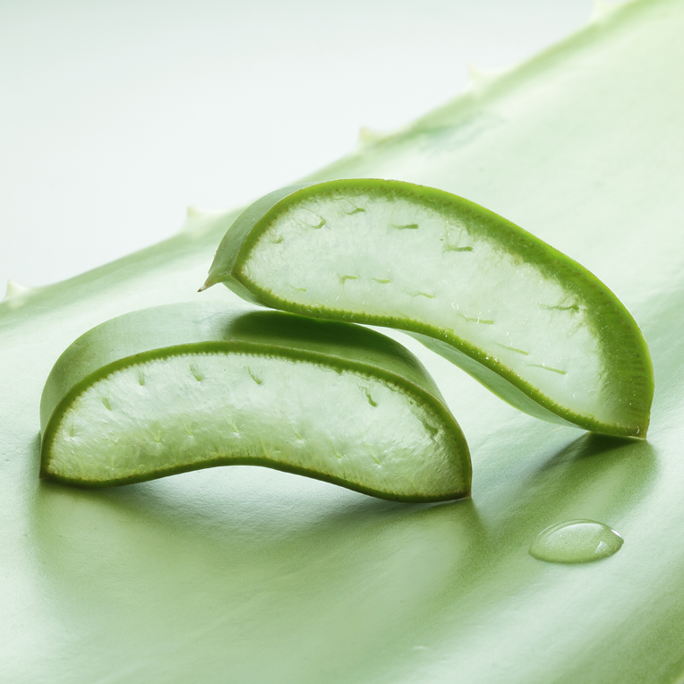 Aloe Vera: 5 benefici per pelle e capelli