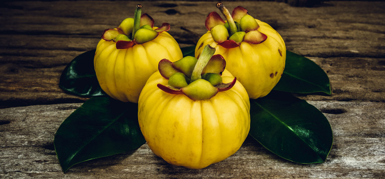 Dimagrire con la Garcinia Cambogia