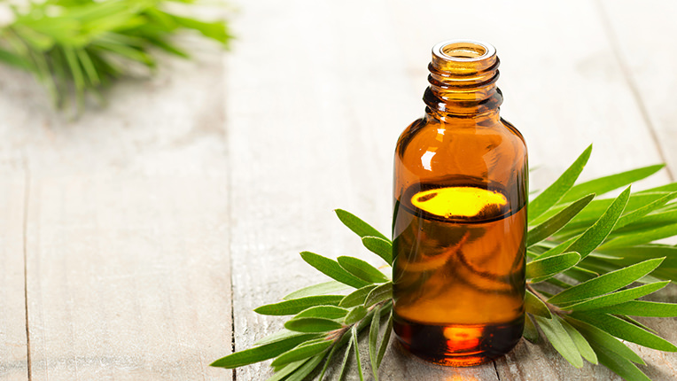 Tea tree oil: vantaggi e benefici. Scopri 7 modi per utilizzarlo