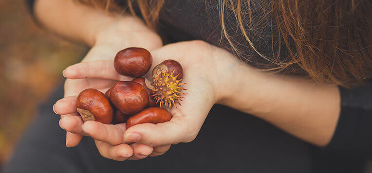 Prevenire il raffreddore: le castagne (in tasca) tra mito e realtà?