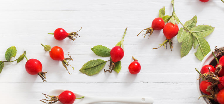 Il perfetto mix naturale per il sistema immunitario: acerola, echinacea e rosa canina