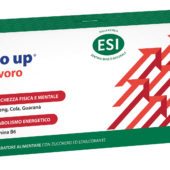 Go Up Lavoro
