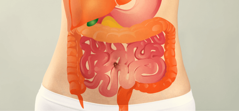 Digestione lenta: cause, sintomi e come migliorarla?