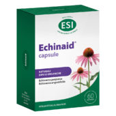 Echinaid capsule